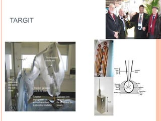 TARGIT
 
