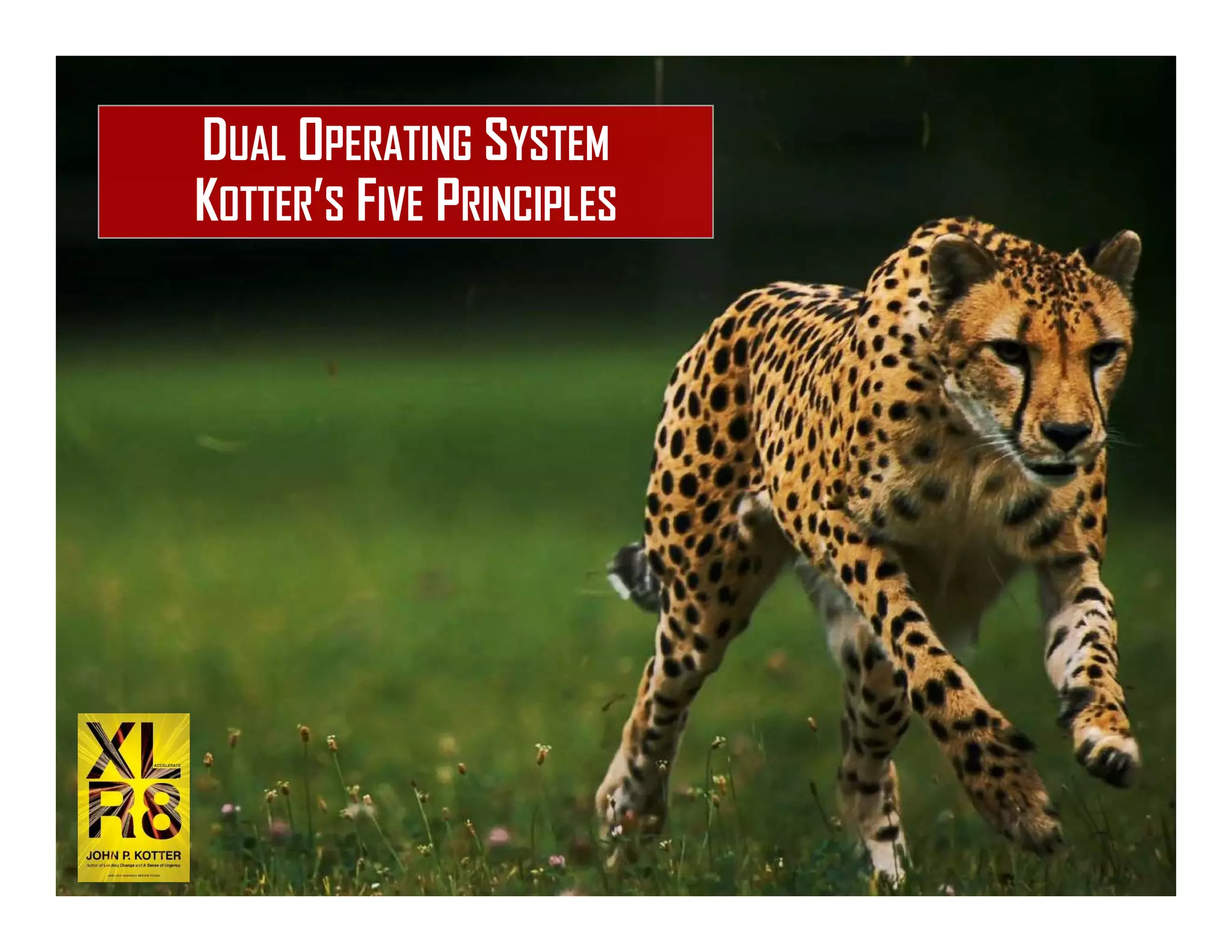 DUAL OPERATING SYSTEM
KOTTER’S FIVE PRINCIPLES
 