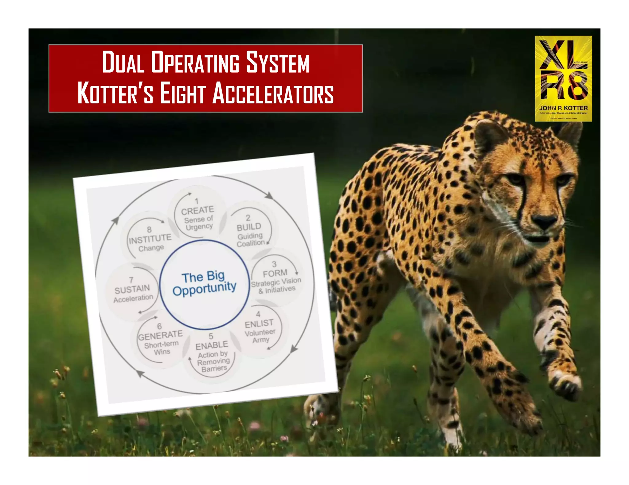 DUAL OPERATING SYSTEM
KOTTER’S EIGHT ACCELERATORS
 