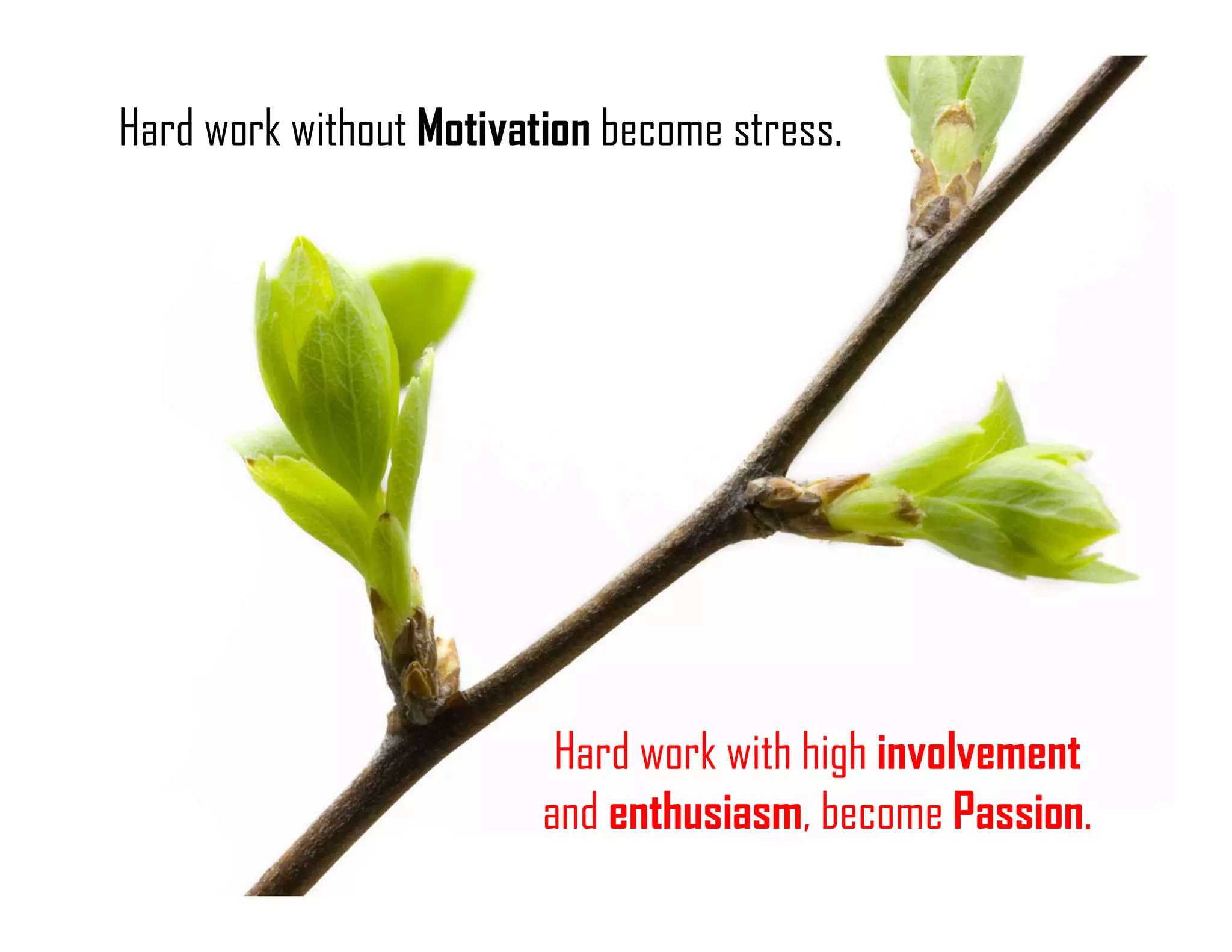 Hard work without Motivation become stress.
Hard work with high involvement
and enthusiasm, become Passion.
 