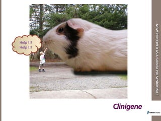 … NOW PERCEIVED AS A GUINEA PIG SYNDROME ! Help !!! Help !!! 