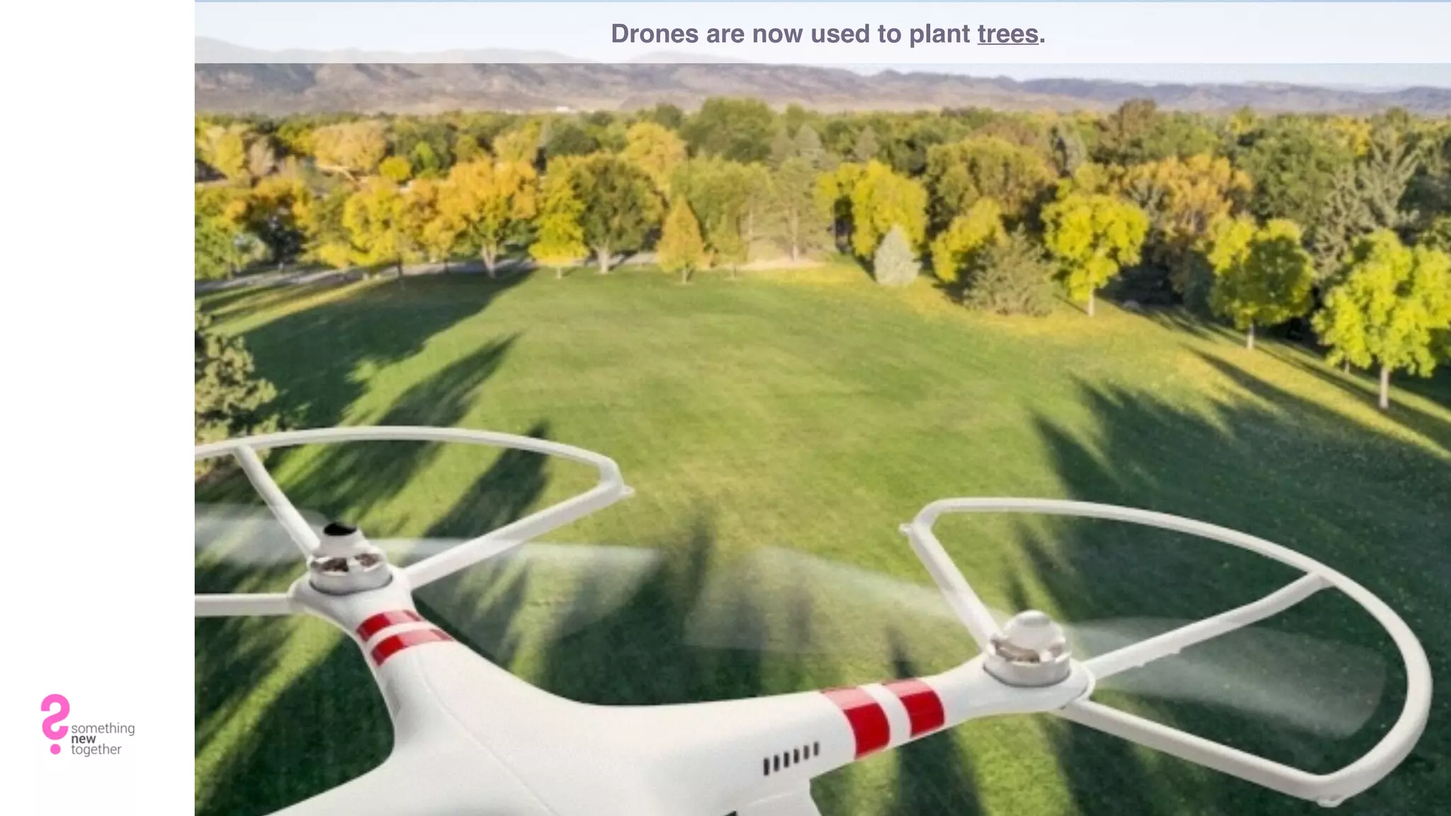 Drones are now used to plant trees.
 