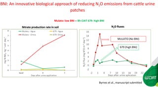Farm-level options for accelerating the transition towards climate smart agriculture