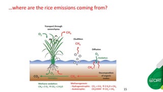 Farm-level options for accelerating the transition towards climate smart agriculture