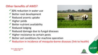 Farm-level options for accelerating the transition towards climate smart agriculture