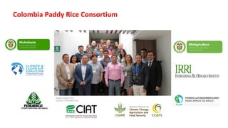 Farm-level options for accelerating the transition towards climate smart agriculture