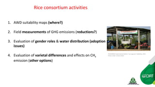 Farm-level options for accelerating the transition towards climate smart agriculture