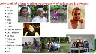 Farm-level options for accelerating the transition towards climate smart agriculture