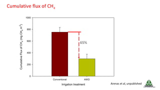 Farm-level options for accelerating the transition towards climate smart agriculture