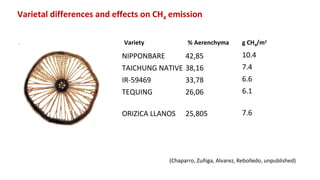 Farm-level options for accelerating the transition towards climate smart agriculture