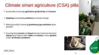 Farm-level options for accelerating the transition towards climate smart agriculture