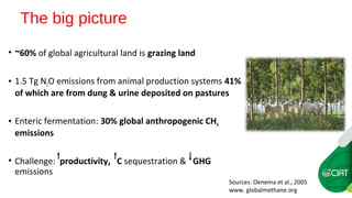 Farm-level options for accelerating the transition towards climate smart agriculture