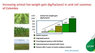 Farm-level options for accelerating the transition towards climate smart agriculture