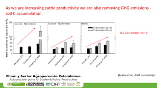 Farm-level options for accelerating the transition towards climate smart agriculture