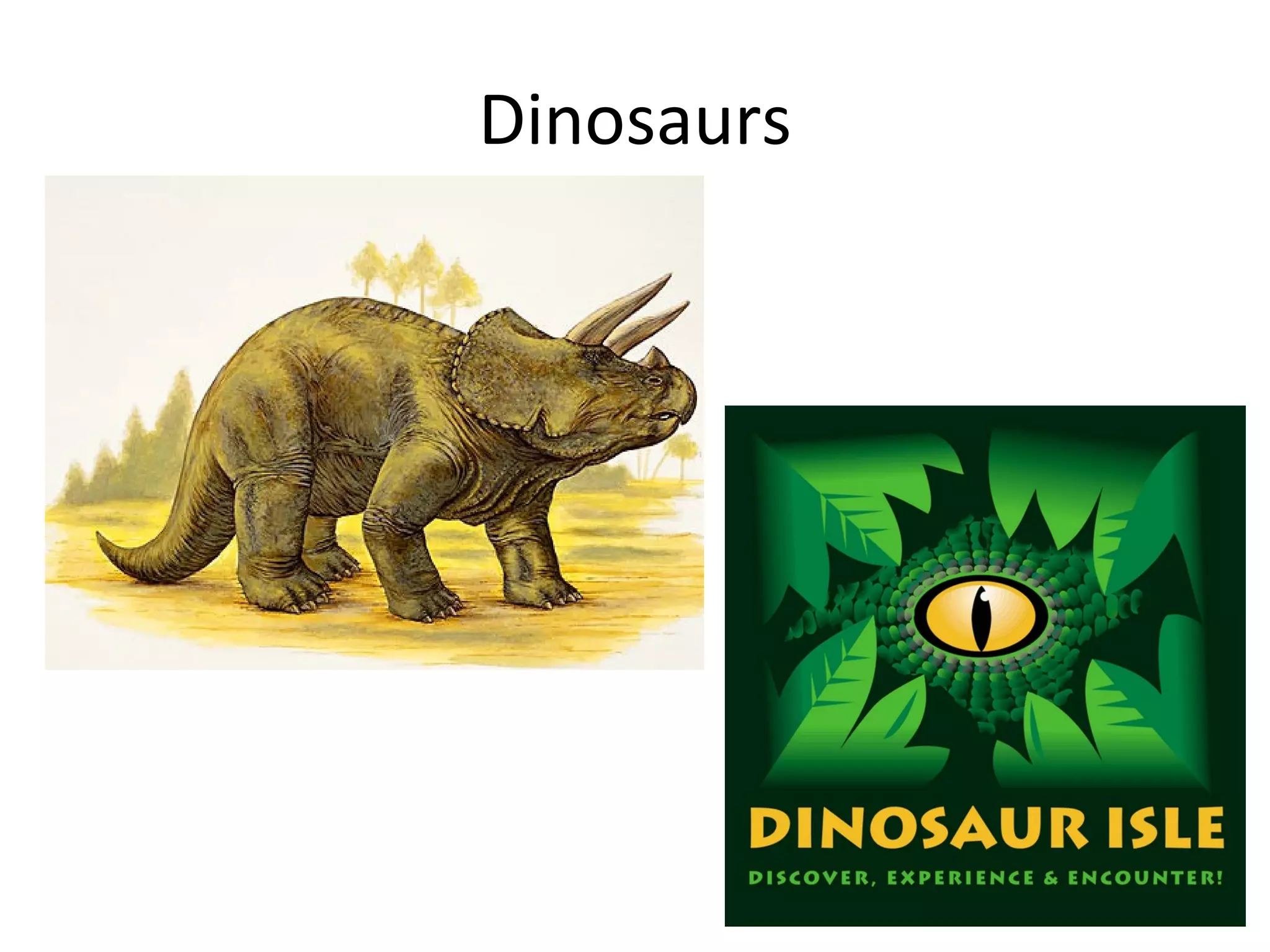 Dinosaurs 