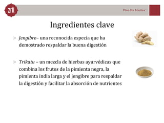 Accell Presentación. SAEZ