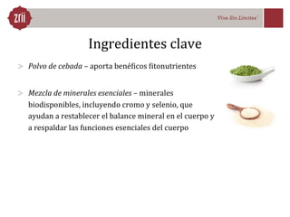 Accell Presentación. SAEZ