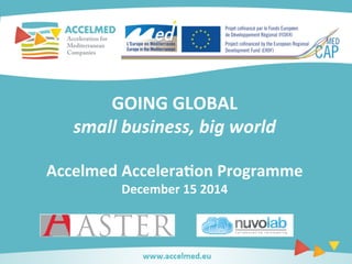 GOING 
GLOBAL 
small 
business, 
big 
world 
Accelmed 
Accelera0on 
Programme 
December 
15 
2014 
 