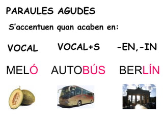 PARAULES AGUDES
S’accentuen quan acaben en:

VOCAL      VOCAL+S        -EN,-IN

MELÓ      AUTOBÚS             BERLÍN
 