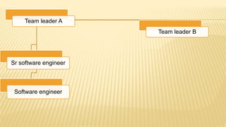 Team leader A
Sr software engineer
Software engineer
Team leader B
 