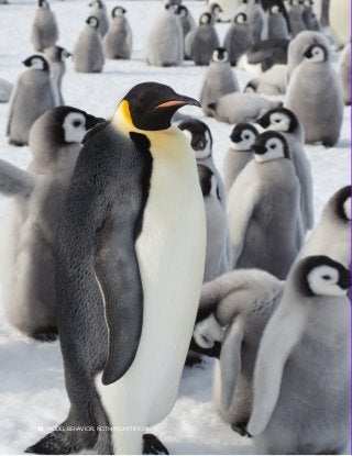 16 MODEL BEHAVIOR. NOTHING ARTIFICIAL.
 