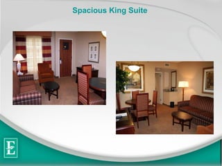 Spacious King Suite  
