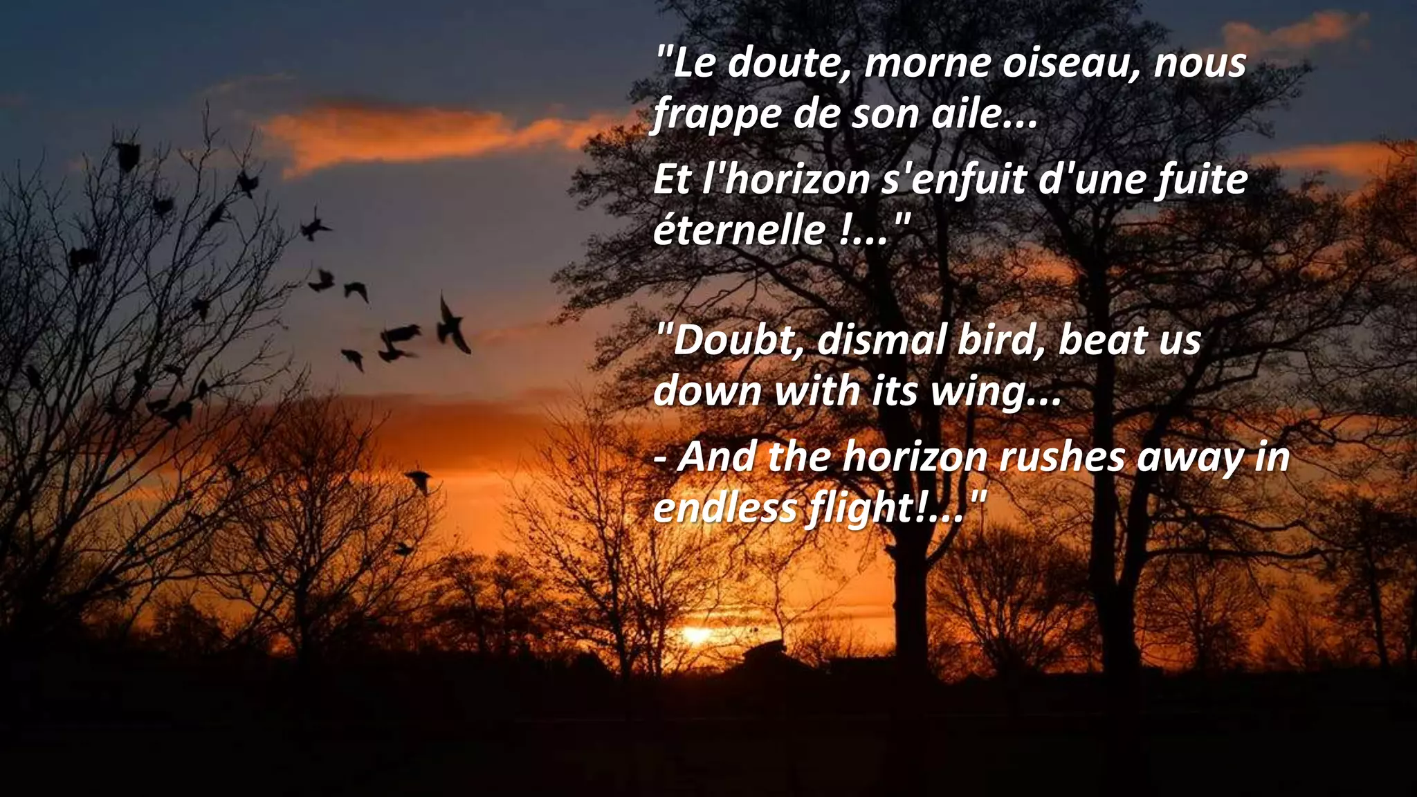 "Le doute, morne oiseau, nous
frappe de son aile...
Et l'horizon s'enfuit d'une fuite
éternelle !..."
"Doubt, dismal bird, beat us
down with its wing...
- And the horizon rushes away in
endless flight!..."
 
