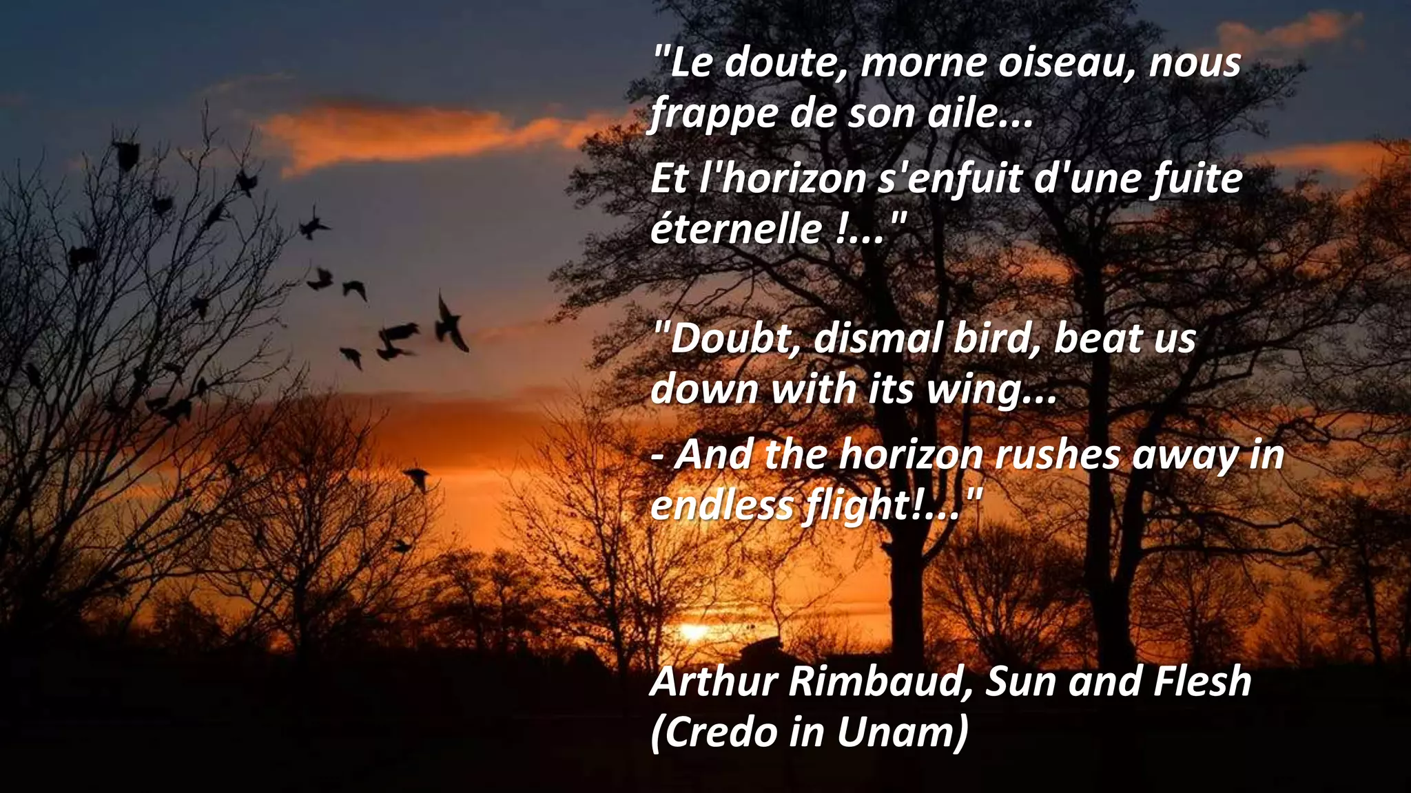 "Le doute, morne oiseau, nous
frappe de son aile...
Et l'horizon s'enfuit d'une fuite
éternelle !..."
"Doubt, dismal bird, beat us
down with its wing...
- And the horizon rushes away in
endless flight!..."
Arthur Rimbaud, Sun and Flesh
(Credo in Unam)
 
