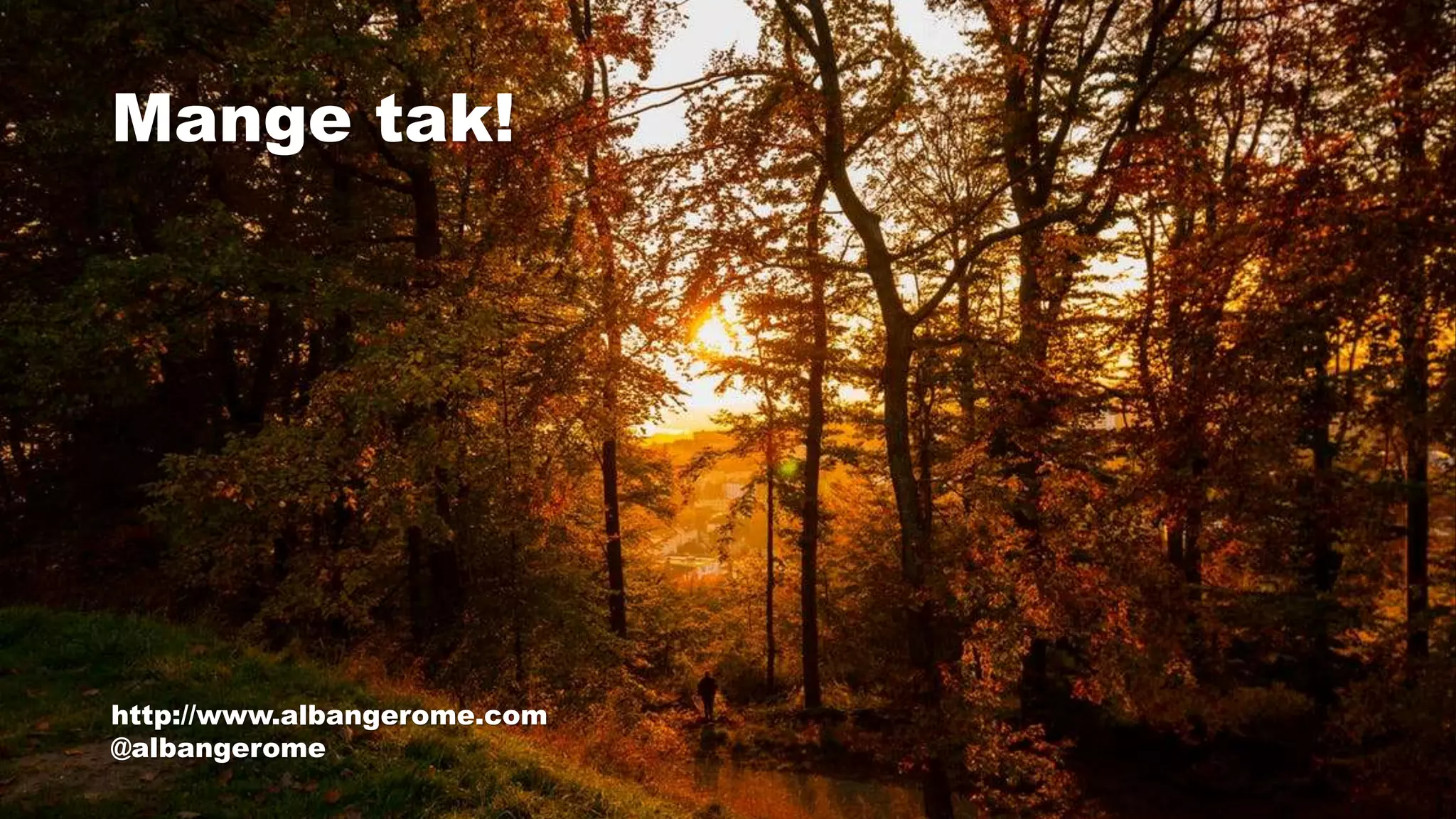 Mange tak!
http://www.albangerome.com
@albangerome
 