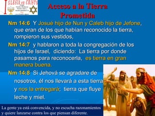 Acceso a la TierraAcceso a la Tierra
PrometidaPrometida
Nm 14:6Nm 14:6 YY Josué hijo de Nun y Caleb hijo de JefoneJosué hijo de Nun y Caleb hijo de Jefone,,
que eran de los que habían reconocido la tierra,que eran de los que habían reconocido la tierra,
rompieron sus vestidos,rompieron sus vestidos,
Nm 14:7Nm 14:7 y hablaron a toda la congregación de losy hablaron a toda la congregación de los
hijos de Israel, diciendo: La tierra por dondehijos de Israel, diciendo: La tierra por donde
pasamos para reconocerla,pasamos para reconocerla, es tierra en granes tierra en gran
manera buena.manera buena.
Nm 14:8Nm 14:8 Si Jehová se agradare deSi Jehová se agradare de
nosotros, él nos llevará a esta tierranosotros, él nos llevará a esta tierra
yy nos la entregarános la entregará; tierra que fluye; tierra que fluye
leche y miel.leche y miel.
La gente ya está convencida, y no escucha razonamientos
y quiere lanzarse contra los que piensan diferente.
 