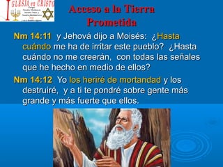 Acceso a la TierraAcceso a la Tierra
PrometidaPrometida
Nm 14:11Nm 14:11 y Jehová dijo a Moisés: ¿y Jehová dijo a Moisés: ¿HastaHasta
cuándocuándo me ha de irritar este pueblo? ¿Hastame ha de irritar este pueblo? ¿Hasta
cuándo no me creerán, con todas las señalescuándo no me creerán, con todas las señales
que he hecho en medio de ellos?que he hecho en medio de ellos?
Nm 14:12Nm 14:12 YoYo los heriré de mortandadlos heriré de mortandad y losy los
destruiré, y a ti te pondré sobre gente másdestruiré, y a ti te pondré sobre gente más
grande y más fuerte que ellos.grande y más fuerte que ellos.
 
