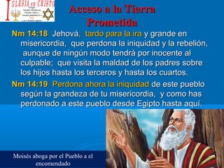 Acceso a la TierraAcceso a la Tierra
PrometidaPrometida
Nm 14:18Nm 14:18 JehováJehová, tardo para la ira, tardo para la ira y grande eny grande en
misericordia, que perdona la iniquidad y la rebelión,misericordia, que perdona la iniquidad y la rebelión,
aunque de ningún modo tendrá por inocente alaunque de ningún modo tendrá por inocente al
culpable; que visita la maldad de los padres sobreculpable; que visita la maldad de los padres sobre
los hijos hasta los terceros y hasta los cuartos.los hijos hasta los terceros y hasta los cuartos.
Nm 14:19Nm 14:19 Perdona ahora la iniquidadPerdona ahora la iniquidad de este pueblode este pueblo
según la grandeza de tu misericordia, y como hassegún la grandeza de tu misericordia, y como has
perdonado a este pueblo desde Egipto hasta aquí.perdonado a este pueblo desde Egipto hasta aquí.
Moisés aboga por el Pueblo a el
encomendado
 