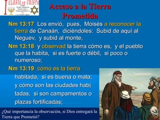 Acceso a la TierraAcceso a la Tierra
PrometidaPrometida
Nm 13:17Nm 13:17 Los envió, pues, MoisésLos envió, pues, Moisés a reconocer laa reconocer la
tierratierra de Canaán, diciéndoles: Subid de aquí alde Canaán, diciéndoles: Subid de aquí al
Neguev, y subid al monte,Neguev, y subid al monte,
Nm 13:18Nm 13:18 yy observadobservad la tierra cómo es, y el pueblola tierra cómo es, y el pueblo
que la habita, si es fuerte o débil, si poco oque la habita, si es fuerte o débil, si poco o
numeroso;numeroso;
Nm 13:19Nm 13:19 cómo es la tierracómo es la tierra
habitada, si es buena o mala;habitada, si es buena o mala;
y cómo son las ciudades haby cómo son las ciudades habii
tadas, si son campamentos otadas, si son campamentos o
plazas fortificadas;plazas fortificadas;
¿Qué importancia la observación, si Dios entregará la
Tierra que Prometió?
 