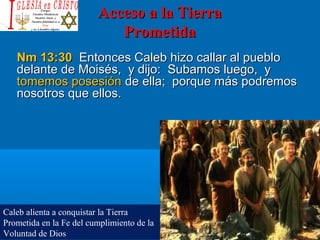 Acceso a la TierraAcceso a la Tierra
PrometidaPrometida
Nm 13:30Nm 13:30 Entonces Caleb hizo callar al puebloEntonces Caleb hizo callar al pueblo
delante de Moisés, y dijo: Subamos luego, ydelante de Moisés, y dijo: Subamos luego, y
tomemos posesióntomemos posesión de ella; porque más podremosde ella; porque más podremos
nosotros que ellos.nosotros que ellos.
Caleb alienta a conquistar la Tierra
Prometida en la Fe del cumplimiento de la
Voluntad de Dios
 
