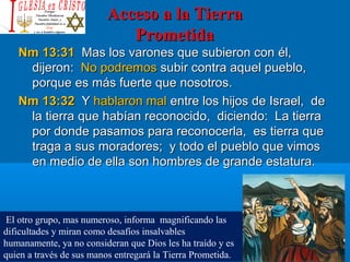 Acceso a la TierraAcceso a la Tierra
PrometidaPrometida
Nm 13:31Nm 13:31 Mas los varones que subieron con él,Mas los varones que subieron con él,
dijeron:dijeron: No podremosNo podremos subir contra aquel pueblo,subir contra aquel pueblo,
porque es más fuerte que nosotros.porque es más fuerte que nosotros.
Nm 13:32Nm 13:32 YY hablaron malhablaron mal entre los hijos de Israel, deentre los hijos de Israel, de
la tierra que habían reconocido, diciendo: La tierrala tierra que habían reconocido, diciendo: La tierra
por donde pasamos para reconocerla, es tierra quepor donde pasamos para reconocerla, es tierra que
traga a sus moradores; y todo el pueblo que vimostraga a sus moradores; y todo el pueblo que vimos
en medio de ella son hombres de grande estatura.en medio de ella son hombres de grande estatura.
El otro grupo, mas numeroso, informa magnificando las
dificultades y miran como desafíos insalvables
humanamente, ya no consideran que Dios les ha traído y es
quien a través de sus manos entregará la Tierra Prometida.
 