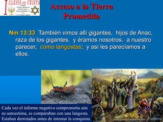 Acceso a la TierraAcceso a la Tierra
PrometidaPrometida
Nm 13:33Nm 13:33 También vimos allí gigantes, hijos de Anac,También vimos allí gigantes, hijos de Anac,
raza de los gigantes, y éramos nosotros, a nuestroraza de los gigantes, y éramos nosotros, a nuestro
parecer,parecer, como langostascomo langostas; y así les parecíamos a; y así les parecíamos a
ellos.ellos.
Cada vez el informe negativo comprometía aún
su autoestima, se comparaban con una langosta.
Estaban derrotados antes de intentar la conquista
 