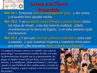 Acceso a la TierraAcceso a la Tierra
PrometidaPrometida
Nm 14:1Nm 14:1 EntoncesEntonces toda la congregación gritótoda la congregación gritó, y dio voces;, y dio voces;
y el pueblo lloró aquella noche.y el pueblo lloró aquella noche.
Nm 14:2Nm 14:2 Y seY se quejaron contra Moisés y contra Aarónquejaron contra Moisés y contra Aarón todostodos
los hijos de Israel; y les dijo toda la multitud: ¡Ojalálos hijos de Israel; y les dijo toda la multitud: ¡Ojalá
muriéramos en la tierra de Egipto; o en este desierto ojalámuriéramos en la tierra de Egipto; o en este desierto ojalá
muriéramos!muriéramos!
Nm 14:3Nm 14:3 ¿Y por qué¿Y por qué nos trae Jehová a esta tierranos trae Jehová a esta tierra para caerpara caer
a espada, y que nuestras mujeres y nuestros niños seana espada, y que nuestras mujeres y nuestros niños sean
por presa? ¿No nos seríapor presa? ¿No nos sería mejor volvernos a Egiptomejor volvernos a Egipto??
La tendencia humana a buscar un culpable “por culpa de
quien dirige”, no consideraron el poder de Dios con todas
las demostraciones de poder que ya experimentaron, las
plagas en Egipto, el paso del mar Rojo, y la travesía del
desierto, y se maldijeron: ¡Ojalá muriéramos!, y decir que
cuando no eran Pueblo de Dios estaban mejor, viviendo en
el mundo (Egipto), y querer regresar a éste (a la esclavitud
del pecado).
 
