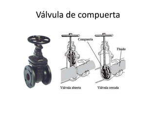 Válvula de compuerta
 