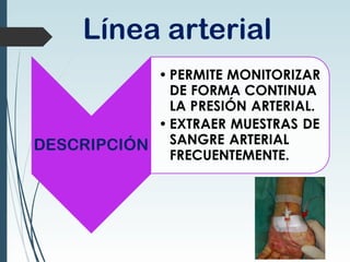 Línea arterial
 