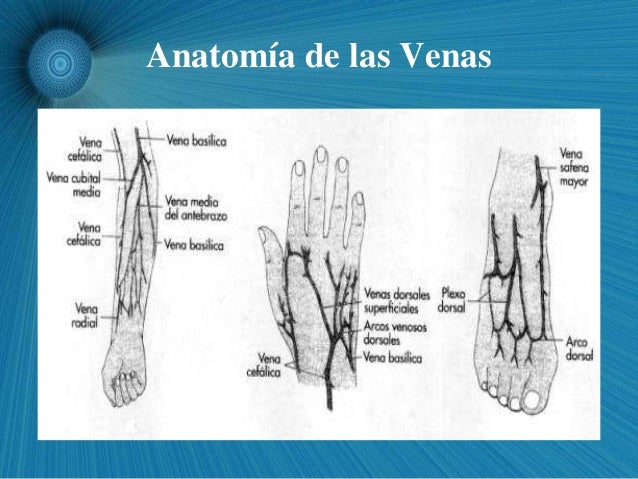 La trombosis de la mano que hacer