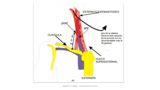 Bugedo G, Castillo L. Cateterización venosa
 