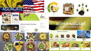 AGUACATE HASS
 
