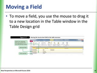 Moving a Field                                XP


      • To move a field, you use the mouse to drag it
        to a new location in the Table window in the
        Table Design grid




New Perspectives on Microsoft Access 2010                14
 