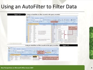Using an AutoFilter to Filter Data New Perspectives on Microsoft Office Access 2007 