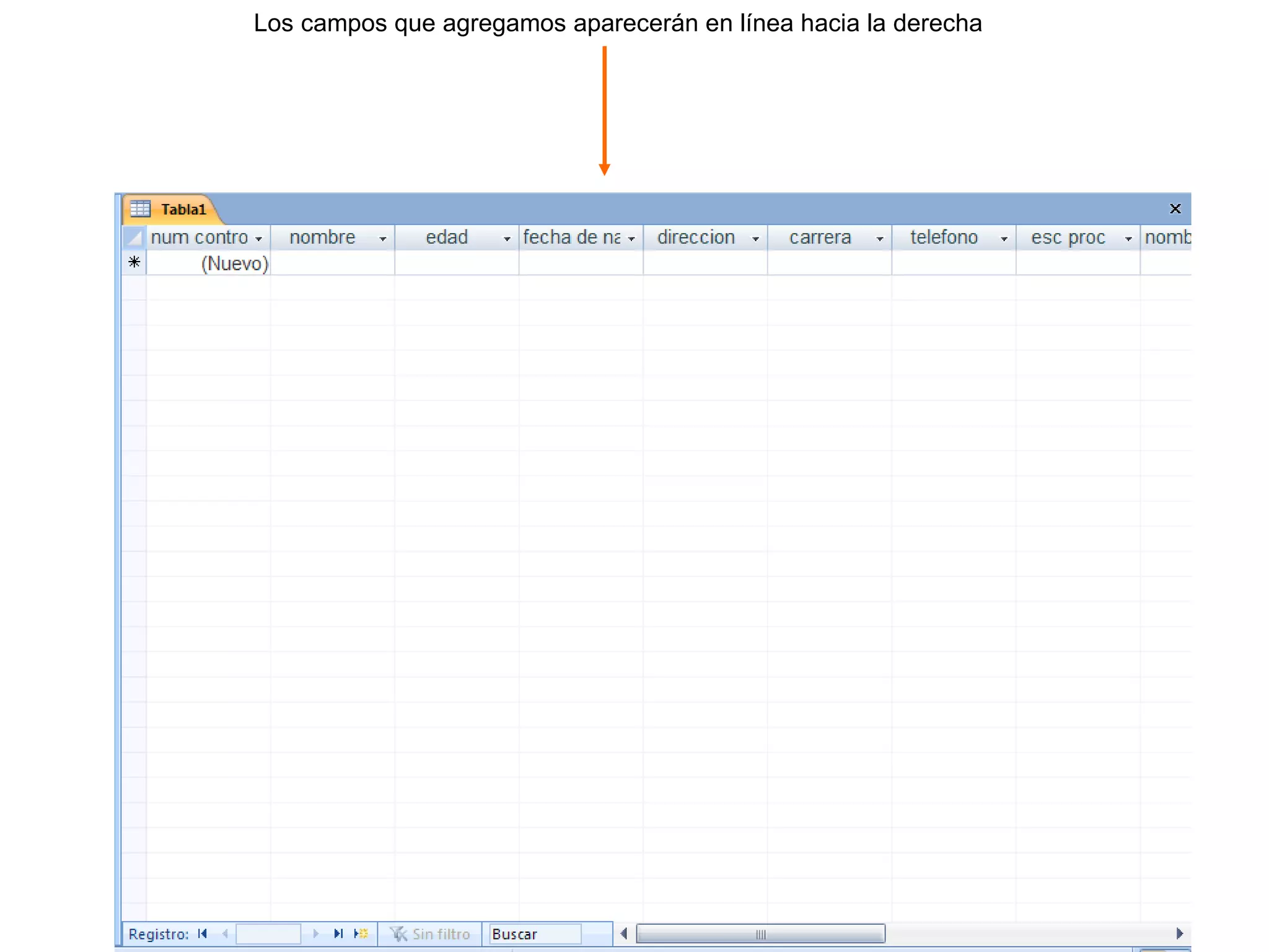 Los campos que agregamos aparecerán en línea hacia la derecha 