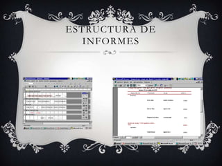 Estructura de Informes