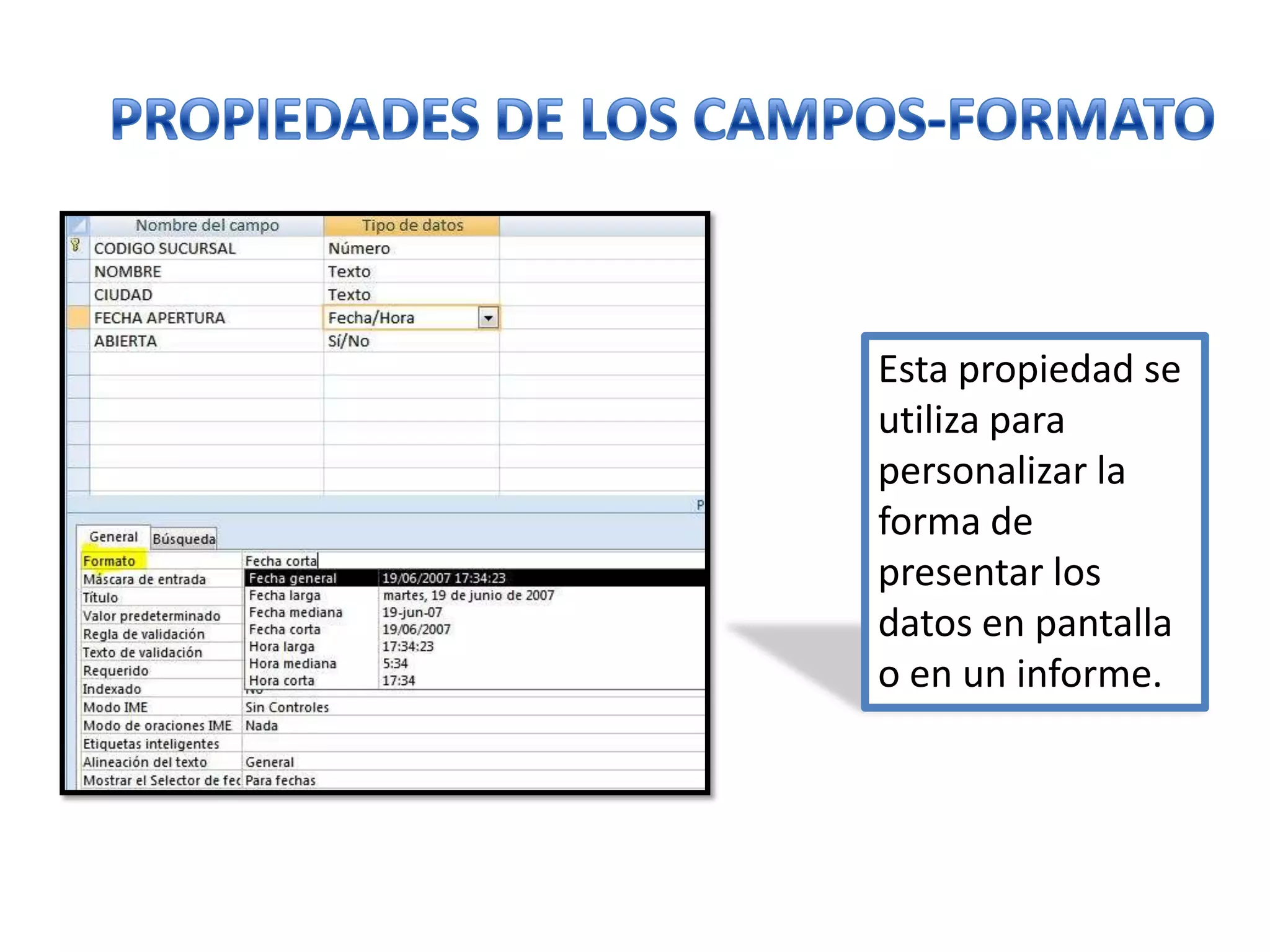 Esta propiedad se
utiliza para
personalizar la
forma de
presentar los
datos en pantalla
o en un informe.

 