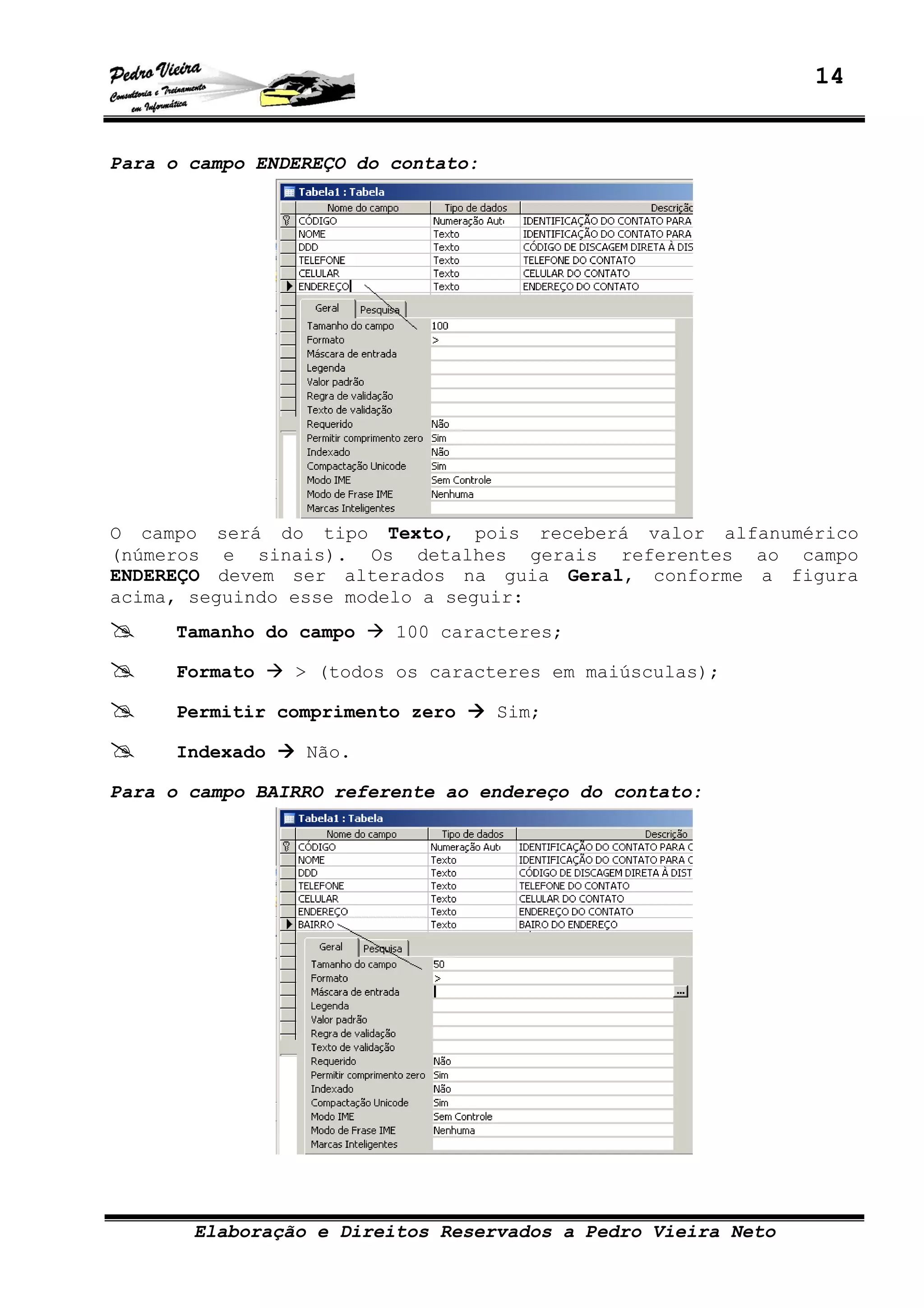 14
Elaboração e Direitos Reservados a Pedro Vieira Neto
Para o campo ENDEREÇO do contato:
O campo será do tipo Texto, pois receberá valor alfanumérico
(números e sinais). Os detalhes gerais referentes ao campo
ENDEREÇO devem ser alterados na guia Geral, conforme a figura
acima, seguindo esse modelo a seguir:
Tamanho do campo 100 caracteres;
Formato > (todos os caracteres em maiúsculas);
Permitir comprimento zero Sim;
Indexado Não.
Para o campo BAIRRO referente ao endereço do contato:
 
