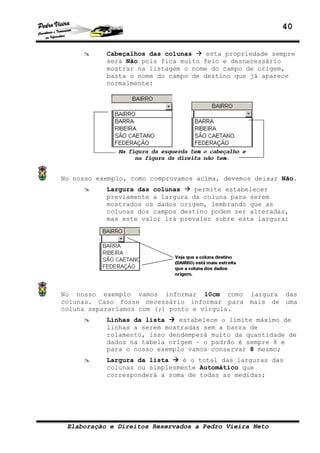 40
Elaboração e Direitos Reservados a Pedro Vieira Neto
Cabeçalhos das colunas esta propriedade sempre
será Não pois fica muito feio e desnecessário
mostrar na listagem o nome do campo de origem,
basta o nome do campo de destino que já aparece
normalmente:
No nosso exemplo, como comprovamos acima, devemos deixar Não.
Largura das colunas permite estabelecer
previamente a largura da coluna para serem
mostrados os dados origem, lembrando que as
colunas dos campos destino podem ser alteradas,
mas este valor irá prevaler sobre esta largura:
No nosso exemplo vamos informar 10cm como largura das
colunas. Caso fosse necessário informar para mais de uma
coluna separaríamos com (;) ponto e vírgula.
Linhas da lista estabelece o limite máximo de
linhas a serem mostradas sem a barra de
rolamento, isso dendemperá muito da quantidade de
dados na tabela origem – o padrão é sempre 8 e
para o nosso exemplo vamos conservar 8 mesmo;
Largura da lista é o total das larguras das
colunas ou simplesmente Automático que
corresponderá a soma de todas as medidas;
 