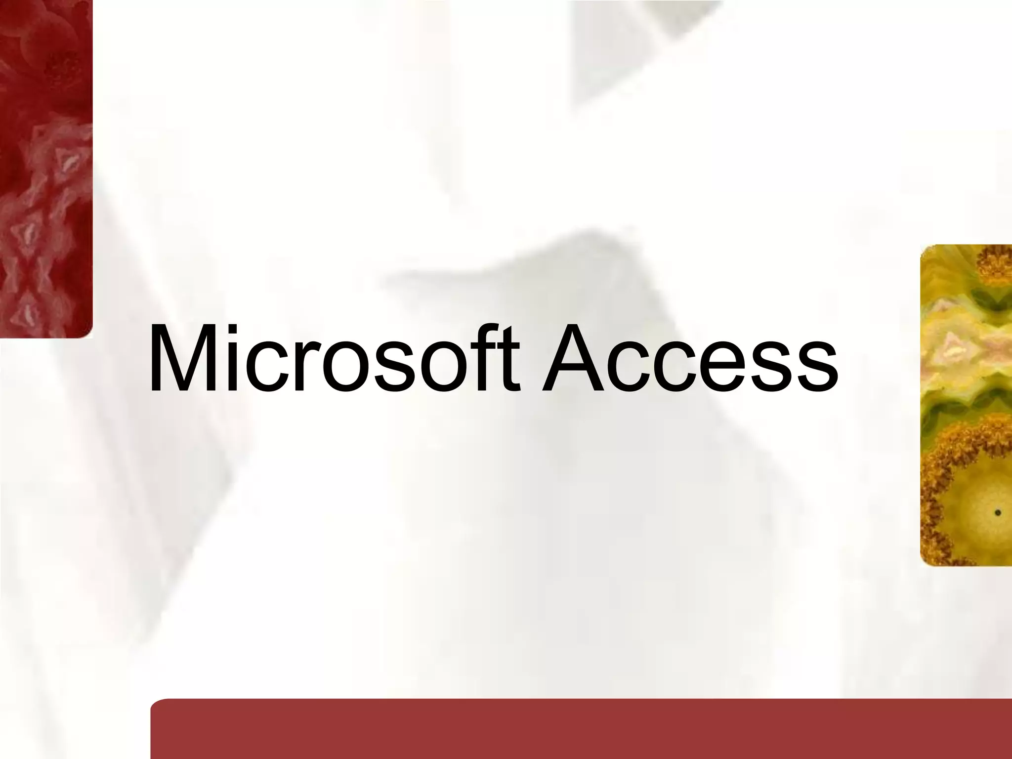 Microsoft Access
 